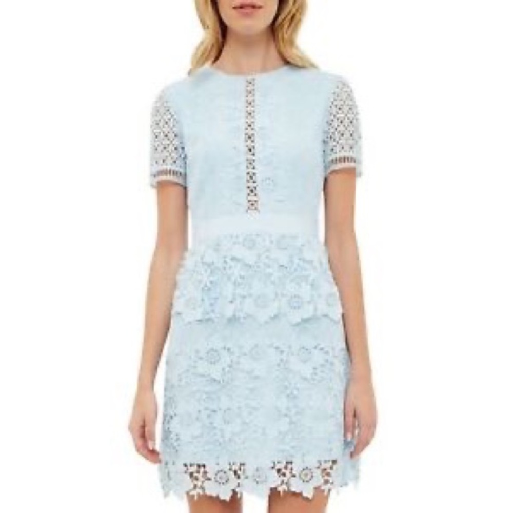 Ted Baker Dixa Layered Lace Skater Dress - Picture 2 of 15